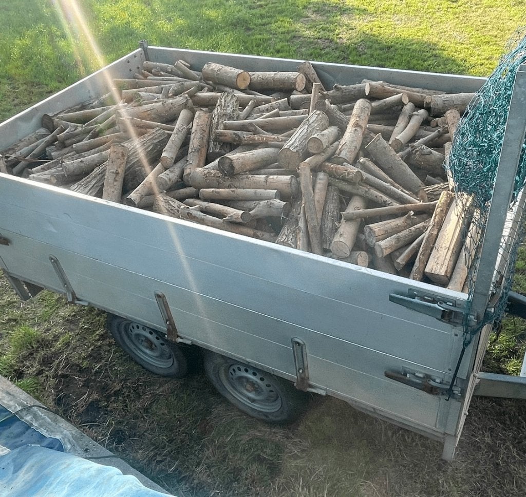 volle aanhanger droog brandhout, Tuin en Terras, Ophalen