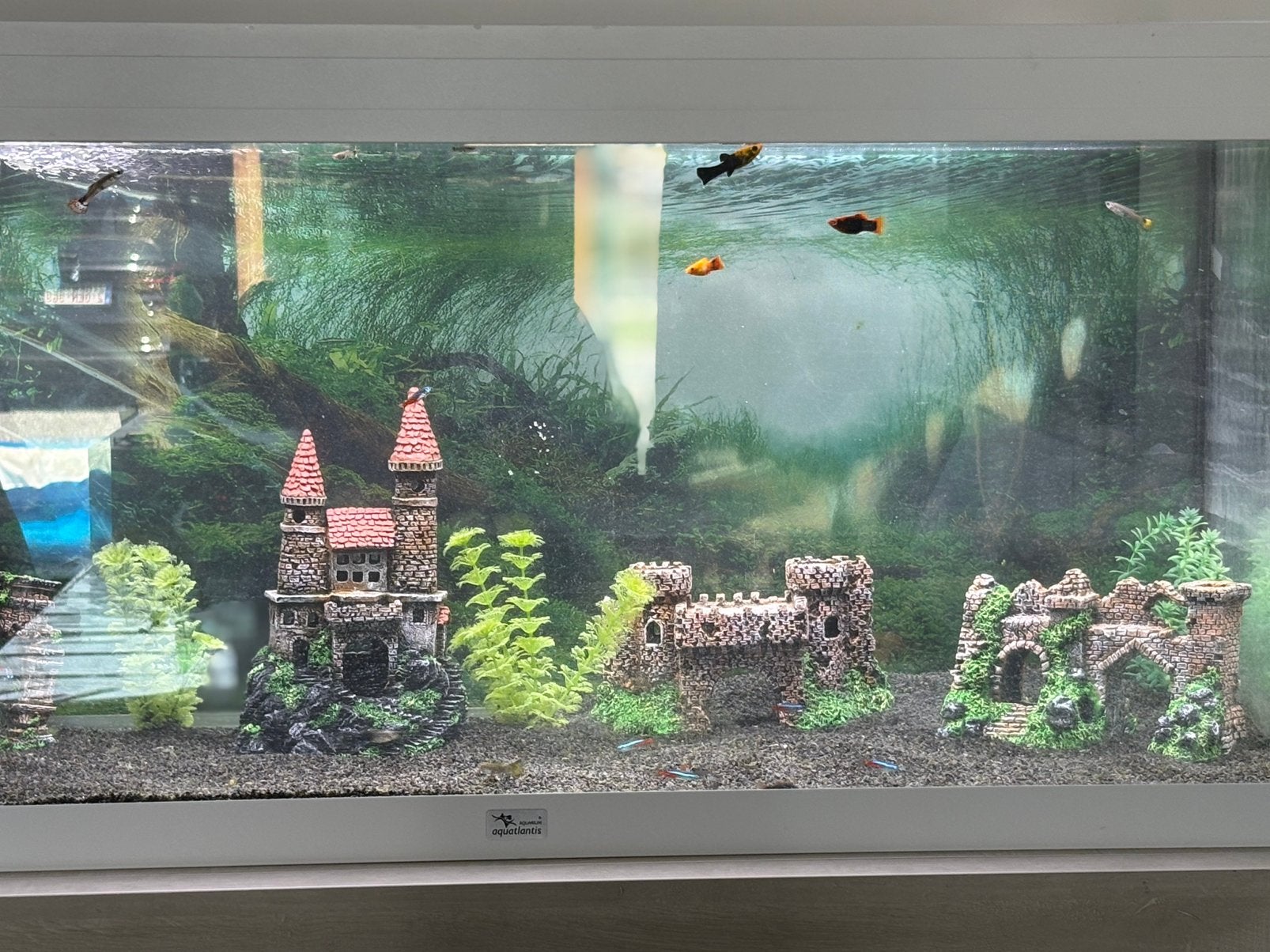 Aquatlantis 200 liter, Antiek en Kunst, Ophalen