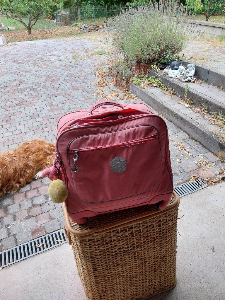 Cartable, Bijoux, Sacs & Beauté, Sacs | Cartables, 40 à 50 cm, Rose, Enlèvement, Utilisé