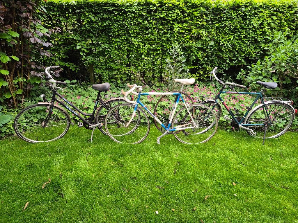 3 fietsen, Fietsen en Brommers, Ophalen
