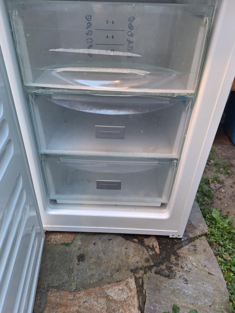 Tafelmodel diepvries – moet snel weg, Enlèvement