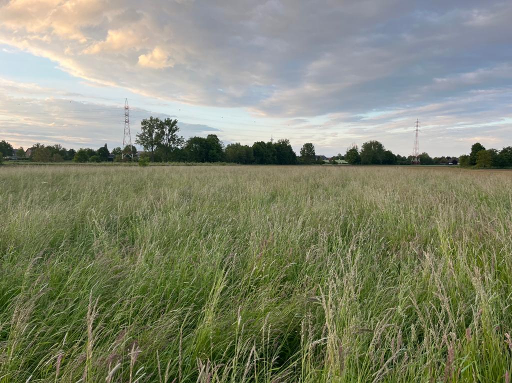 Hooi, Zakelijke goederen, Landbouw | Veevoer, Ophalen