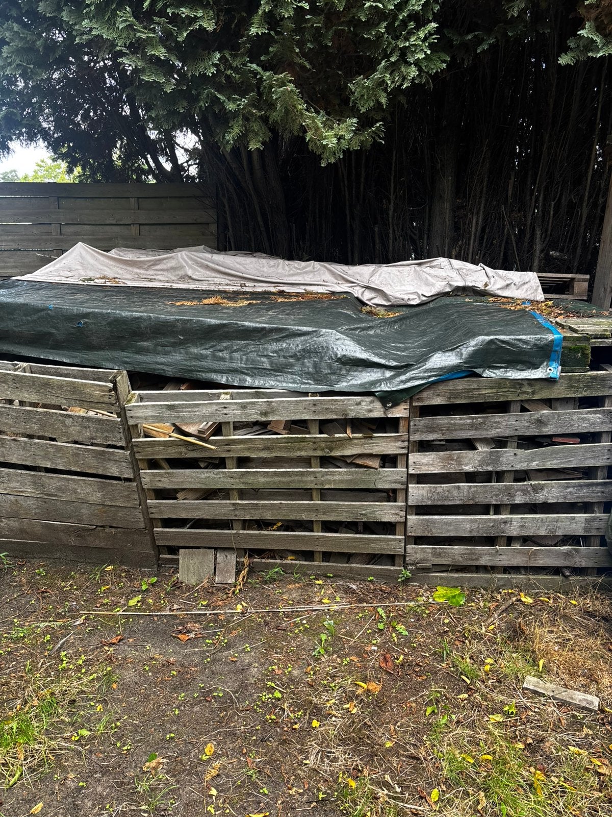 Hout, Ophalen, Blokken