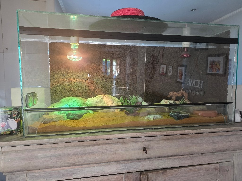 Terrarium 100cm op 50-50. Met toebehoren. Nieuw zand en lamp, Ophalen, Gebruikt, Terrarium of Paludarium