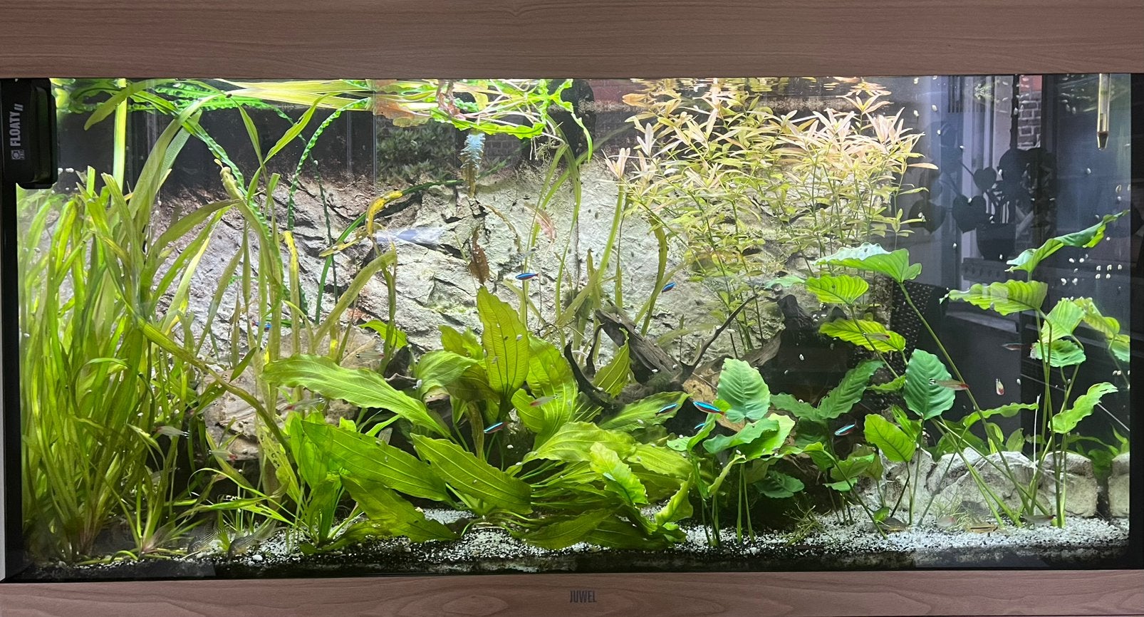 Juwel Rio 350 te koop, Ophalen, Verwarming, Zo goed als nieuw, Juwel
