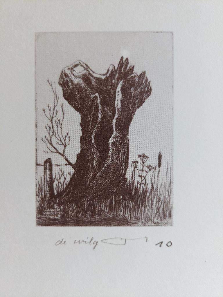 Karaktervolle Ets Victor Buys – "De Wilg" – genummerd, Antiek en Kunst, Kunst | Etsen en Gravures, Ophalen