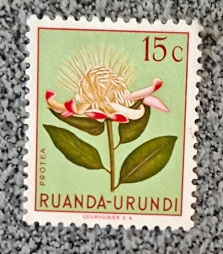 Timbre Ruanda-Urundi OBP 178**, Enlèvement ou Envoi, Non oblitéré