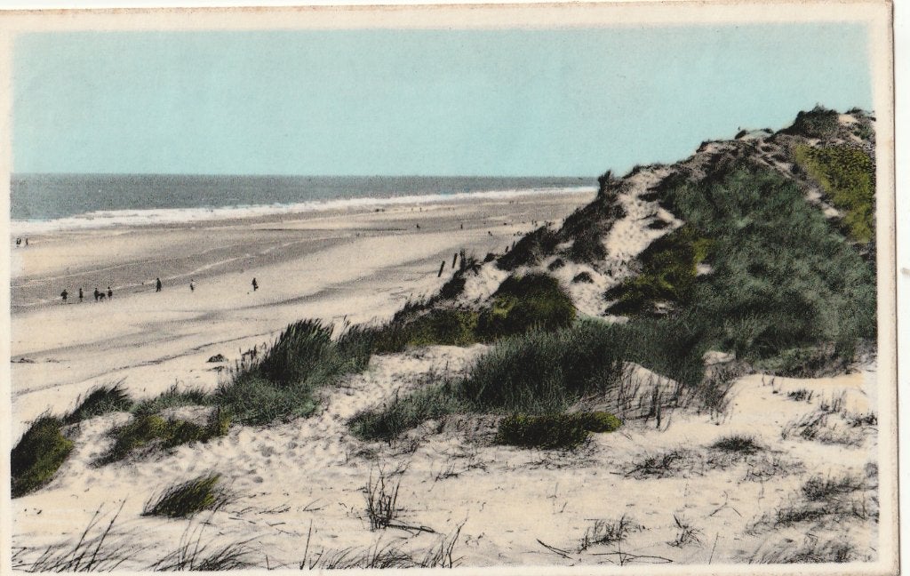 SINT-IDESBALD -  Duinen en Zee, Envoi, 1960 à 1980, Affranchie, Flandre Occidentale