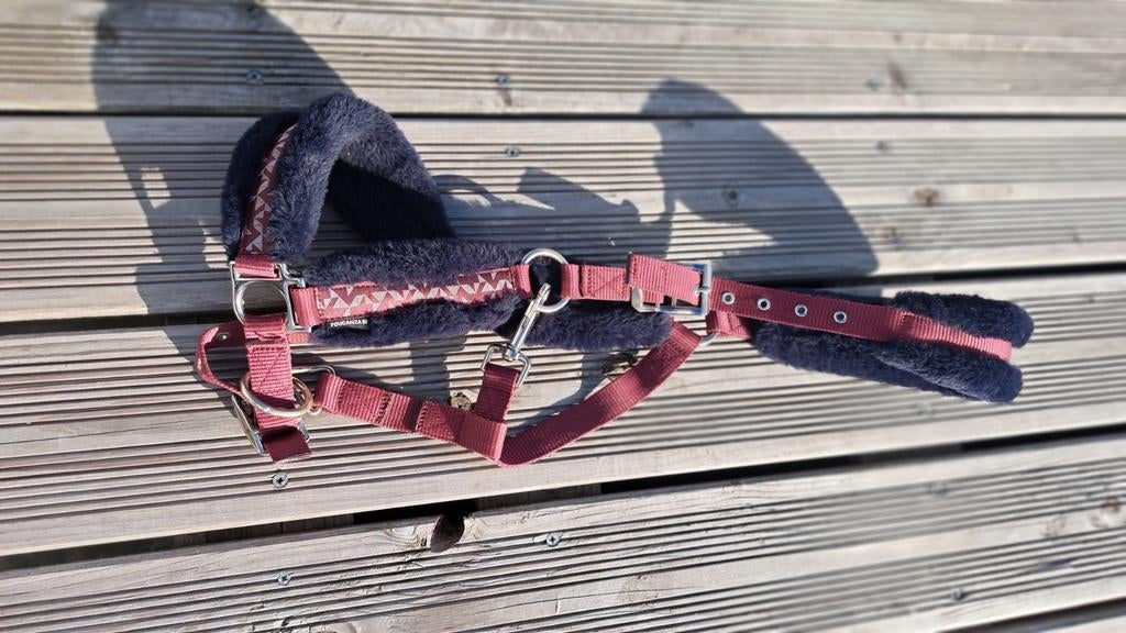 Pony/paardrijspulletjes, Dieren en Toebehoren, Ophalen
