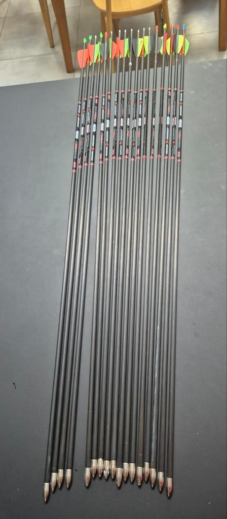 Flèches Skylon Novice Carbon Spine 900, Sports & Fitness, Enlèvement ou Envoi, Utilisé, Flèches