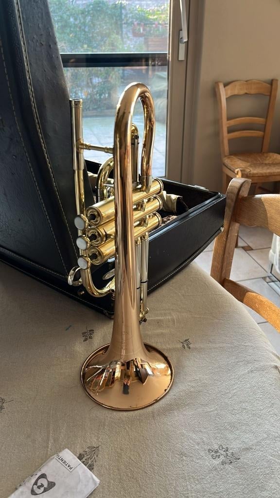 Besson Cornet Souvereign, Muziek en Instrumenten, Ophalen of Verzenden, Gebruikt, Koperblazer, Met koffer of draagtas