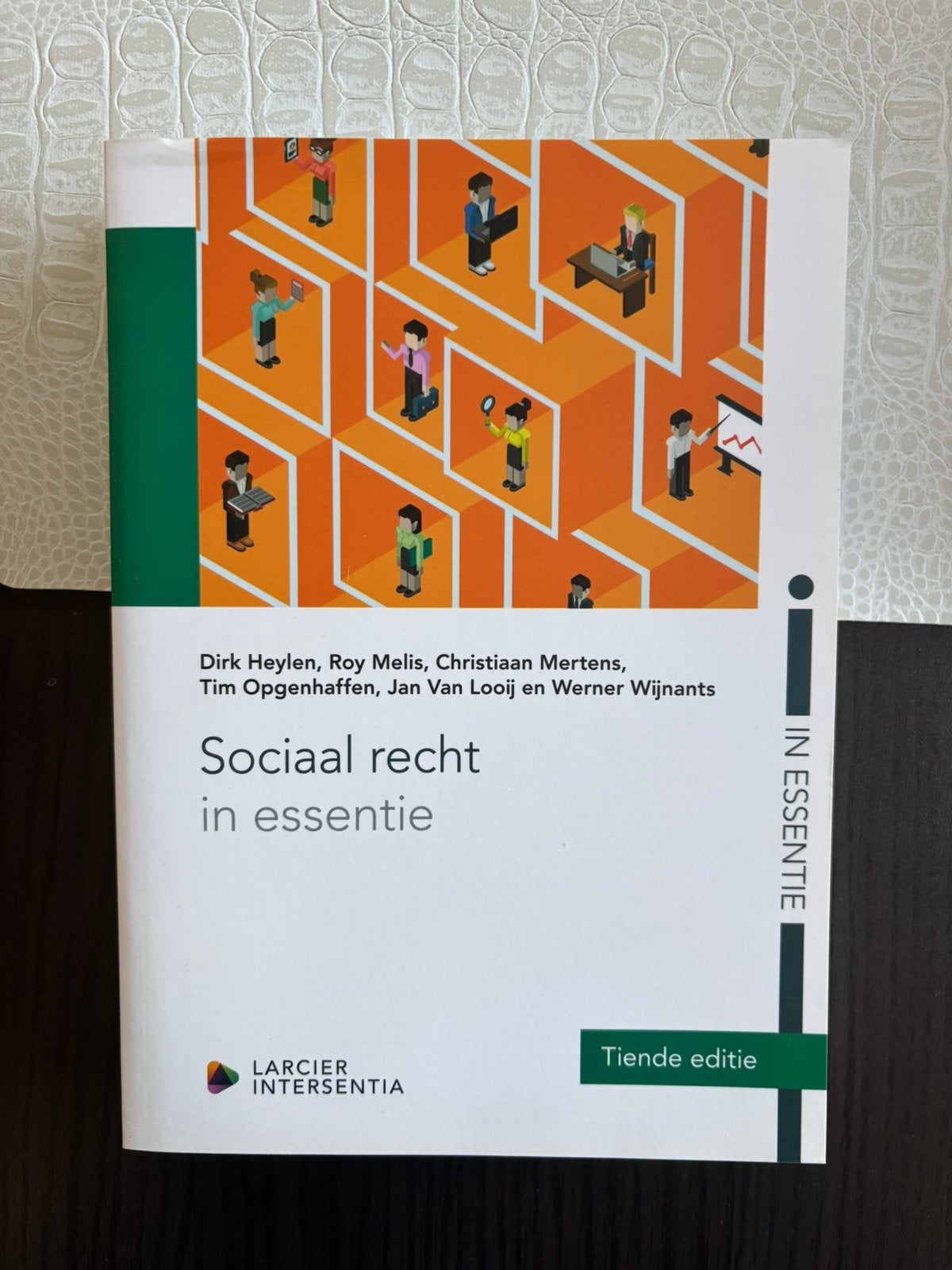 Dirk Heylen - Sociaal recht in essentie (tiende editie), Boeken, Ophalen of Verzenden, Nederlands, Dirk Heylen; Roy Melis