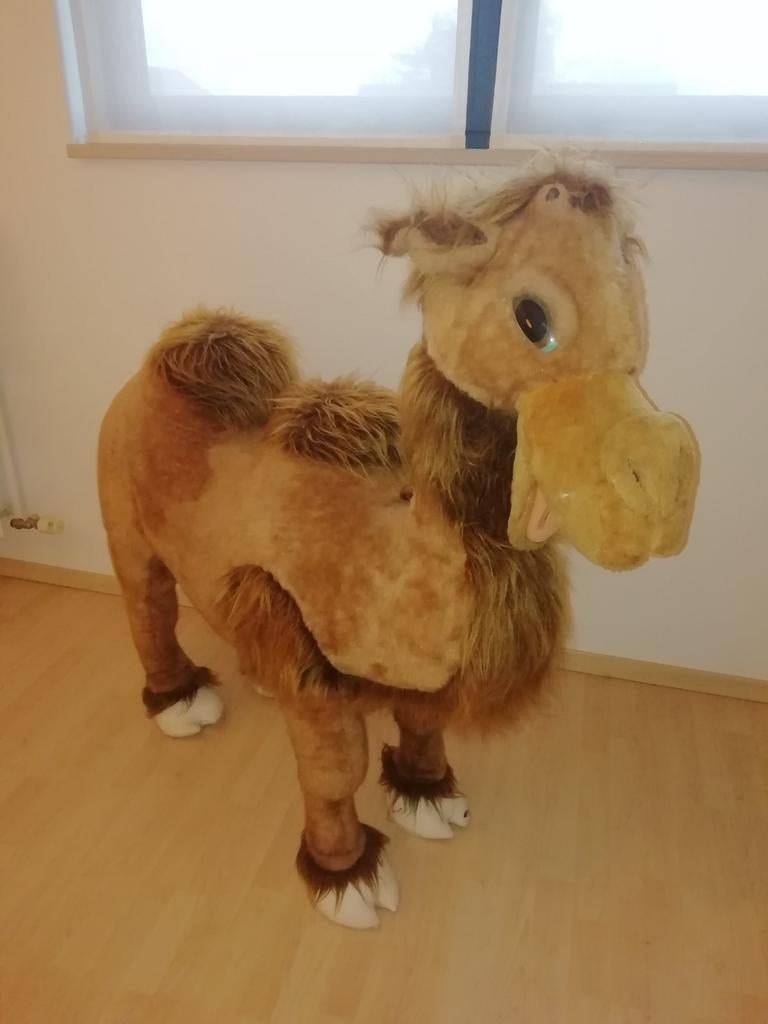 Grote pluchen kameel, Ophalen