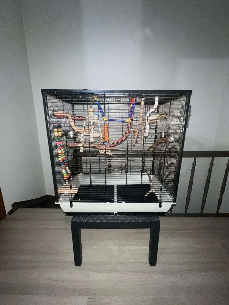 Vogelkooi, Dieren en Toebehoren, Ophalen, Zo goed als nieuw, Vogelkooi