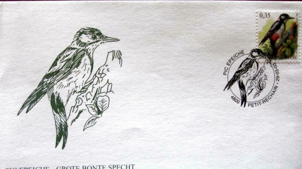 FIRST DAY COVER- VOGELS VAN BUZIN- DE GROTE BONTE SPECHT, Ophalen of Verzenden, Gestempeld, Dier of Natuur