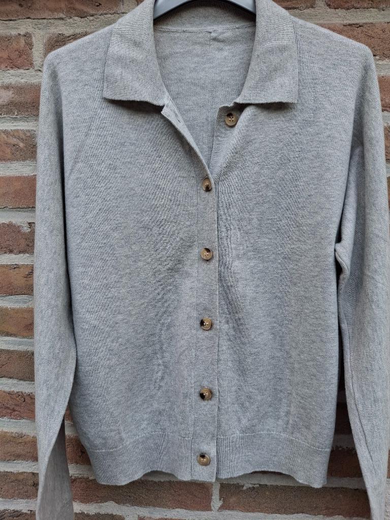 Wollen Polotrui 'Rue Blanche' - maat 38, Kleding | Dames, Ophalen of Verzenden, Zo goed als nieuw, Maat 38/40 (M), Grijs