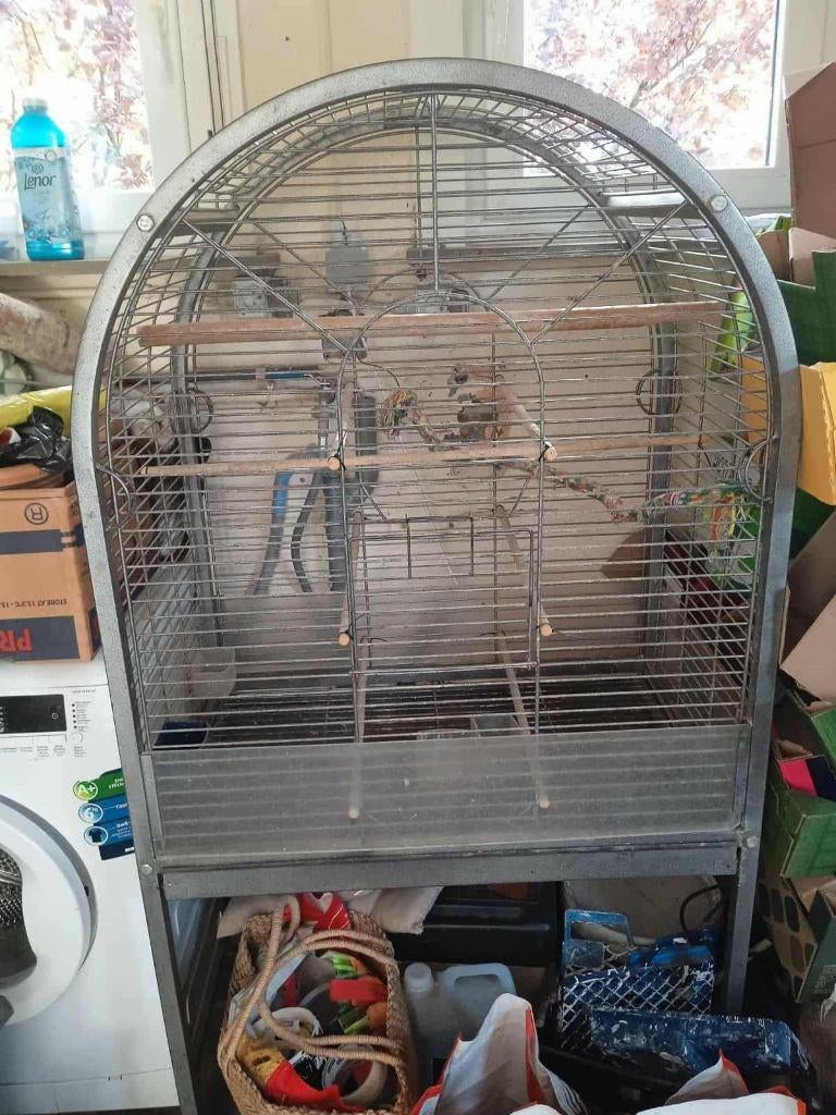 grote vogelkooi, Ophalen, Zo goed als nieuw, Vogelkooi