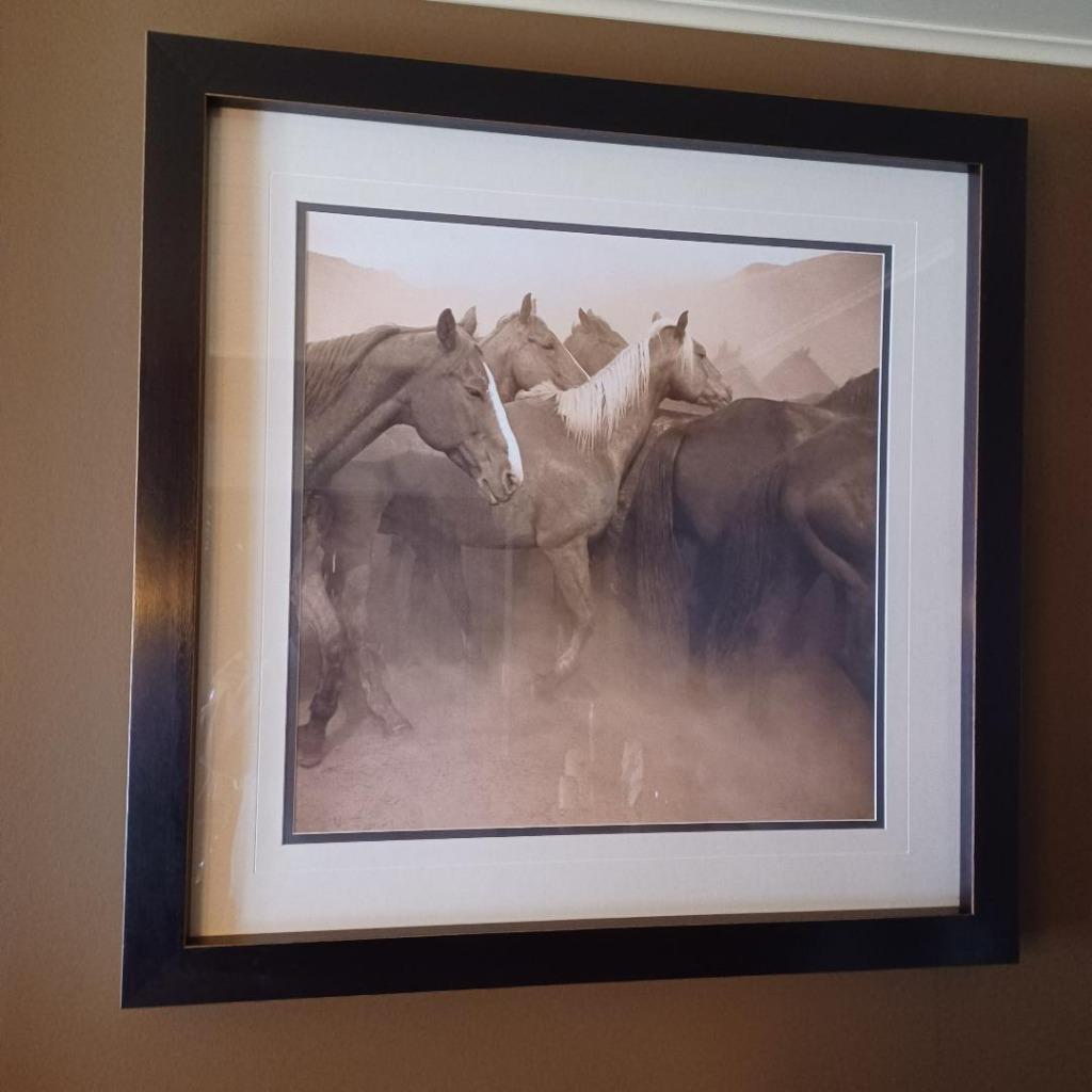 Kader met wilde paarden, Huis en Inrichting, Ophalen, Zo goed als nieuw, 75 tot 100 cm, Foto of Poster