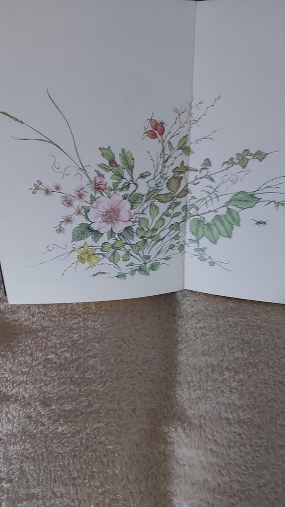 Stijn streuvels  boek en beeld., Antiek en Kunst, Ophalen