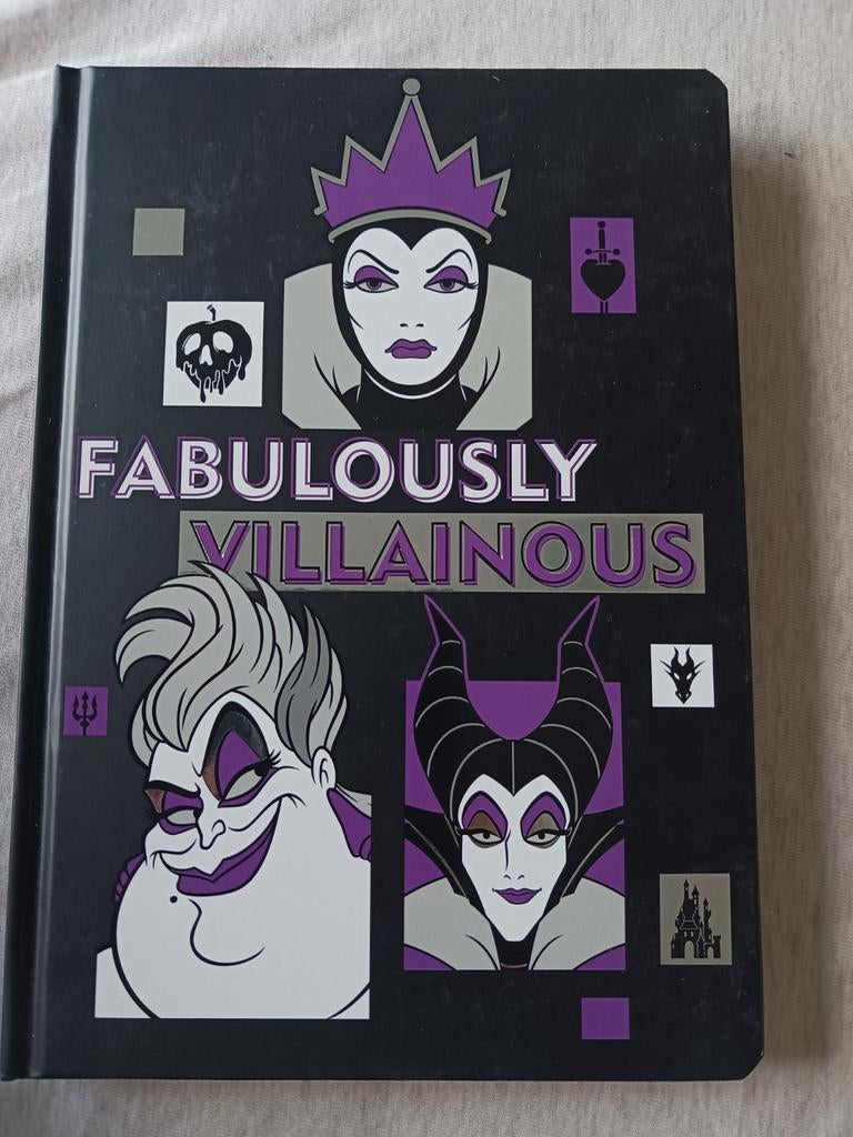 'Fabulously Villainous' notitieboek, Ophalen, Zo goed als nieuw