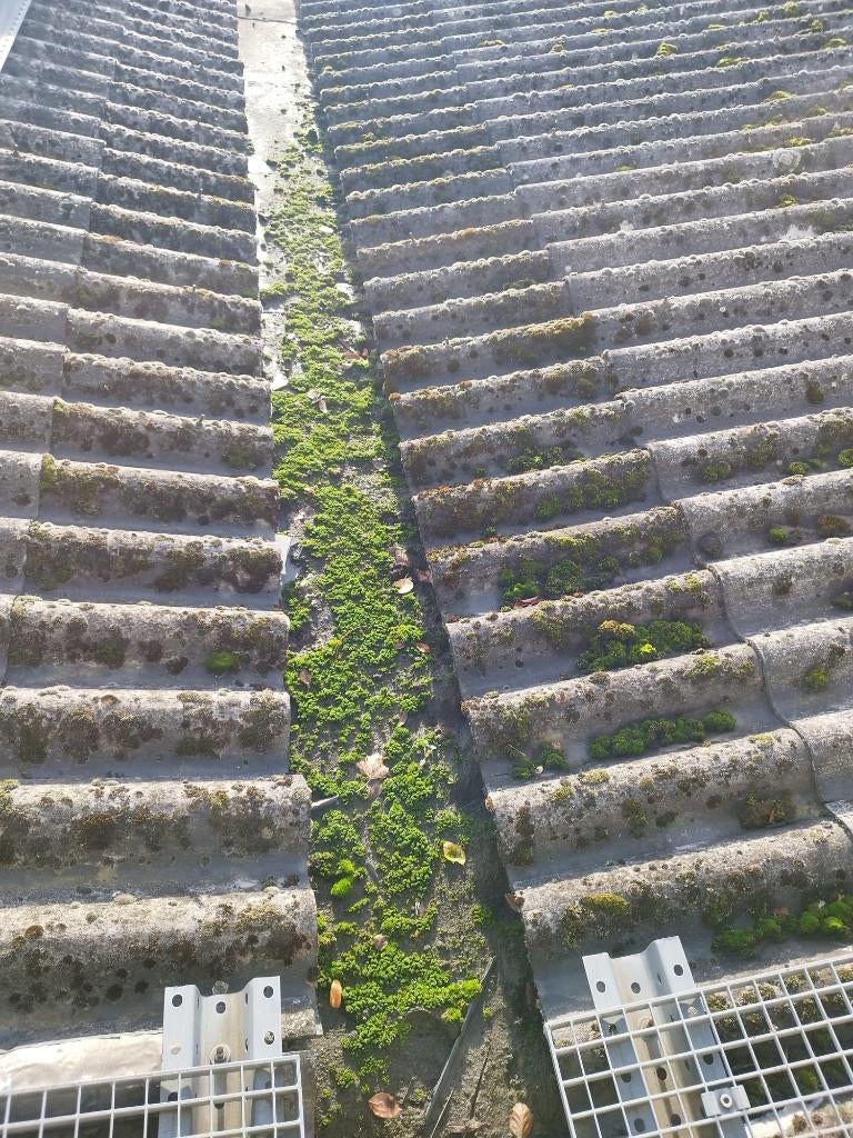 Reinigen van gevels dak terras...0485 915 267, Ophalen of Verzenden