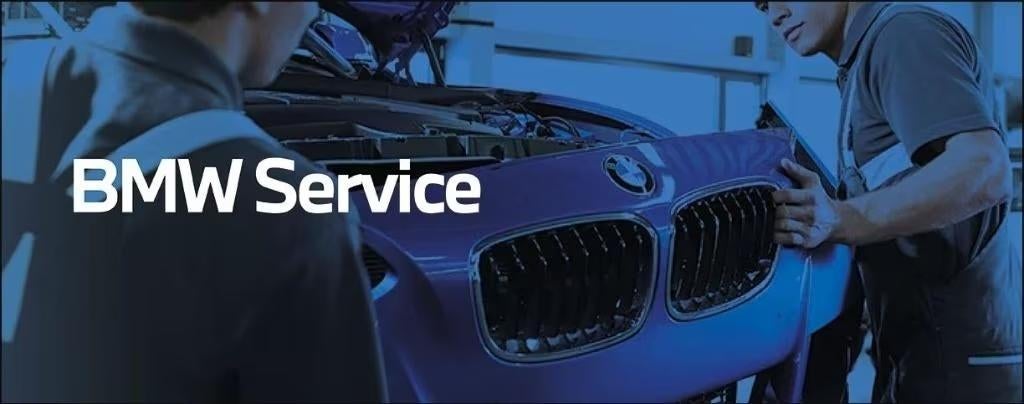 Diagnostisch BMW, Ophalen, Mini