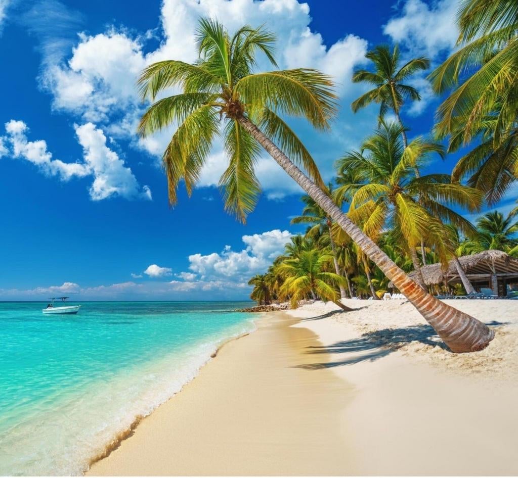 Partenaire de voyage, Contacts & Messages, Compagnons de voyage & Covoiturage