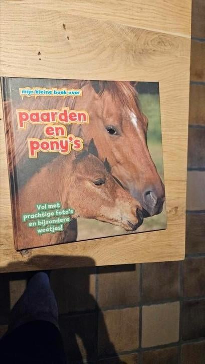 Camilla de la Bédoyère - Paarden en pony's, Enlèvement ou Envoi, Comme neuf, Camilla de la Bédoyère