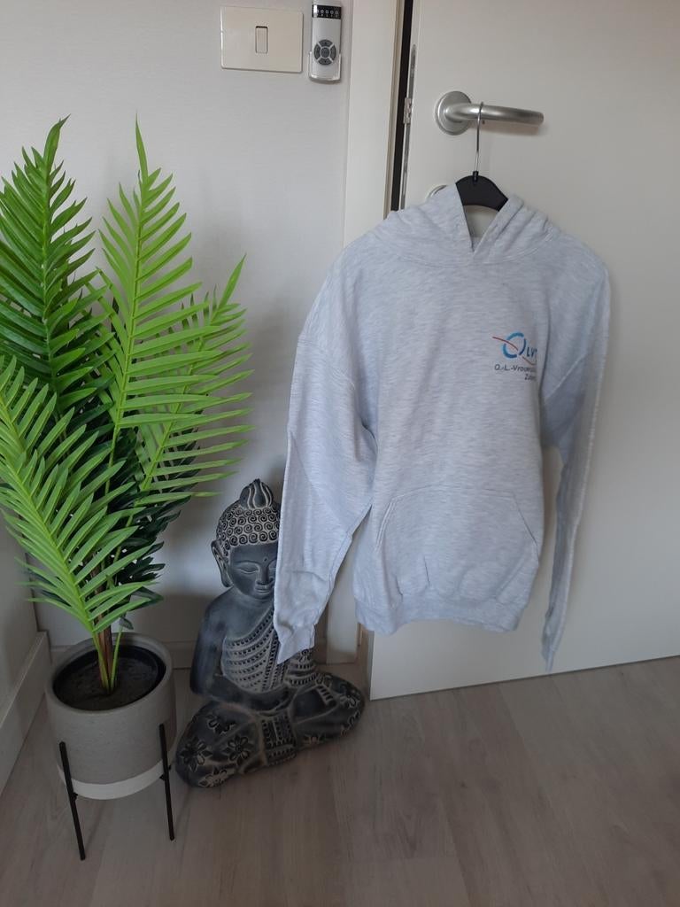Hoodie maat M, Kleding | Dames, Ophalen of Verzenden, Zo goed als nieuw