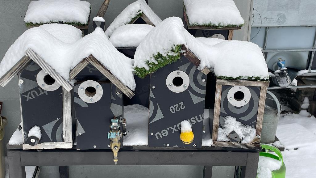 Nestkastjes, Tuin en Terras, Ophalen of Verzenden, Nieuw
