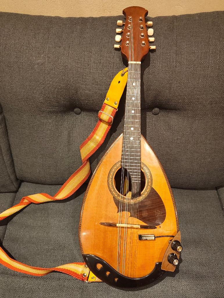 Mandoline Suzuki M-210, Musique & Instruments, Instruments à corde | Mandolines, Utilisé, Enlèvement ou Envoi