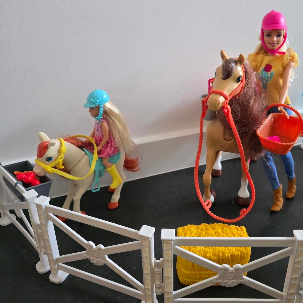 Barbie & Chelsea met paard en pony, Ophalen, Zo goed als nieuw