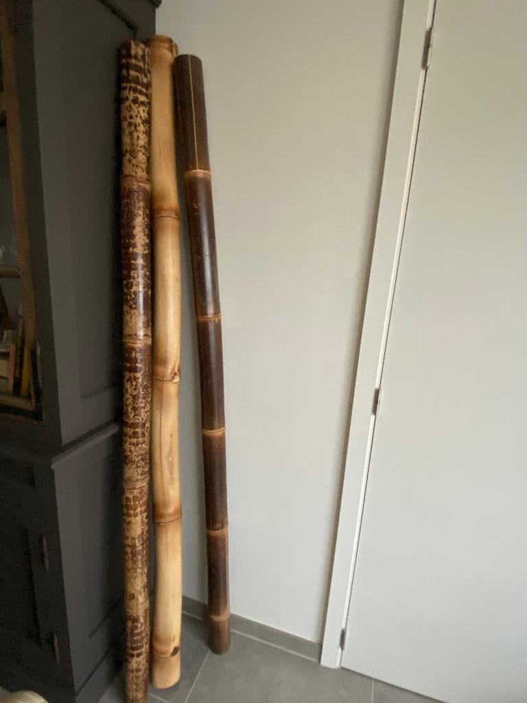 Bamboestokken 2 m x 10 cm, Ophalen, Nieuw, Bruin