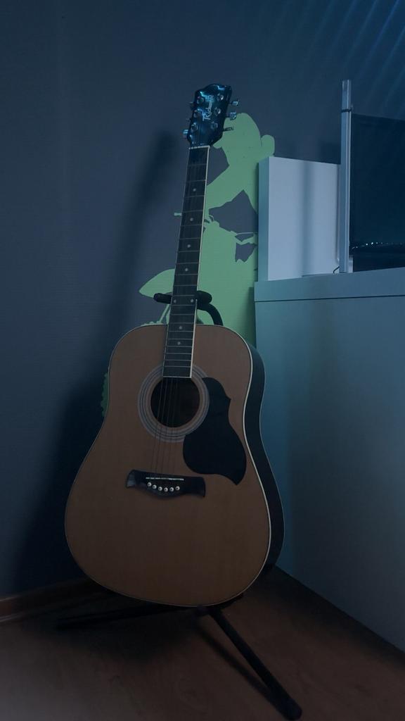 Richwood gitaar, Muziek en Instrumenten, Ophalen, Zo goed als nieuw