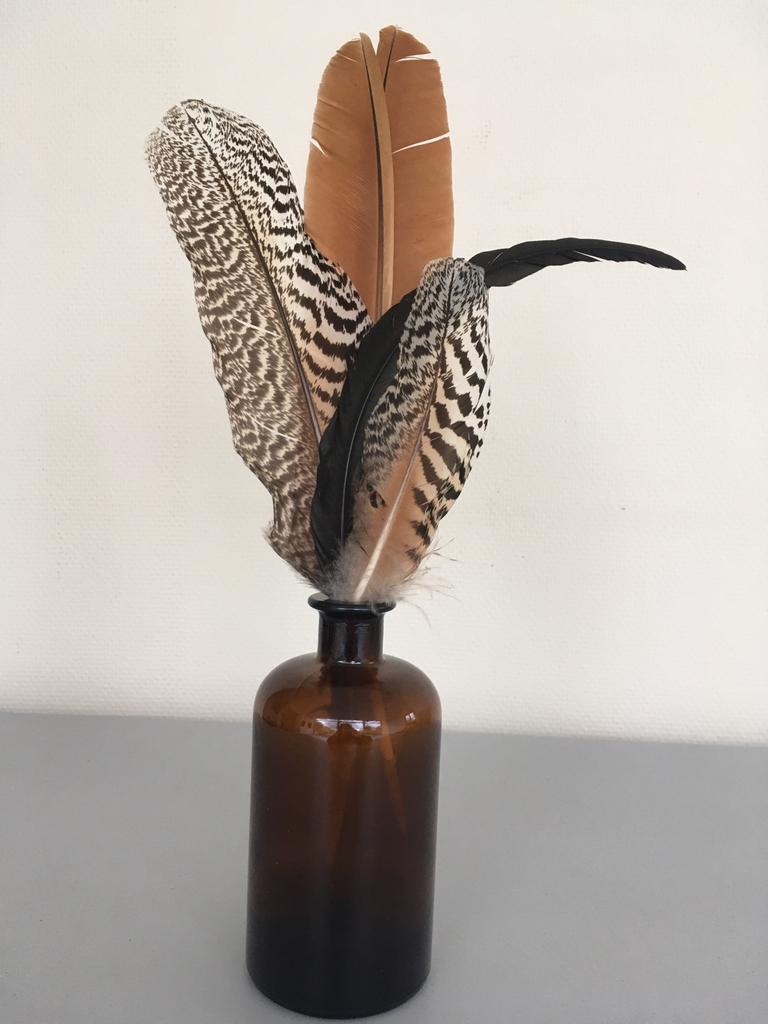 Fles/vaas met pauwenveren., Ophalen