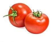Tomate de serre Paoline F1, récolte 2025, Enlèvement ou Envoi, Printemps, Graine