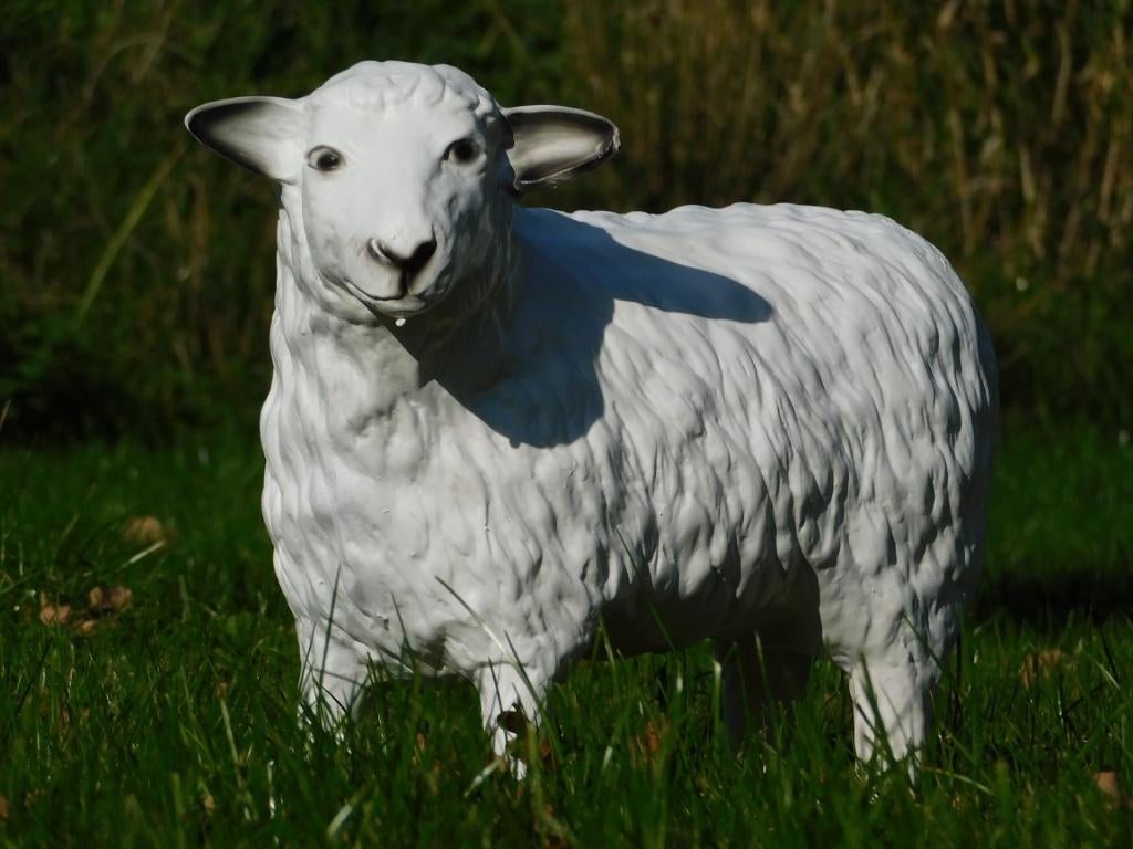 Beeld Schaap - 45 cm - Polystone, Tuin en Terras, Tuinbeelden, Ophalen of Verzenden, Kunststof, Dierenbeeld