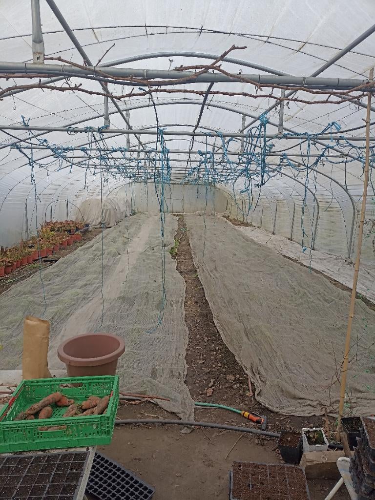 Serre tunnel, Tuin en Terras, Ophalen, Folie, Kweekkas, Zo goed als nieuw