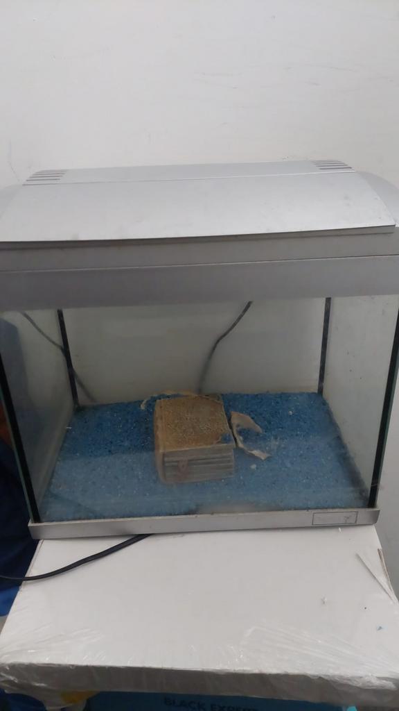 Petit aquarium avec lumière, Animaux & Accessoires, Poissons | Aquariums & Accessoires, Enlèvement, Comme neuf