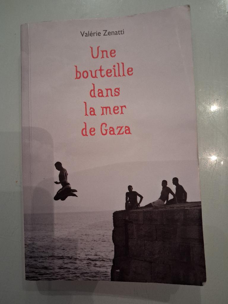 Une bouteille dans la mer de Gaza (Valérie Zenatti), Boeken, Ophalen of Verzenden, Zo goed als nieuw, Fictie