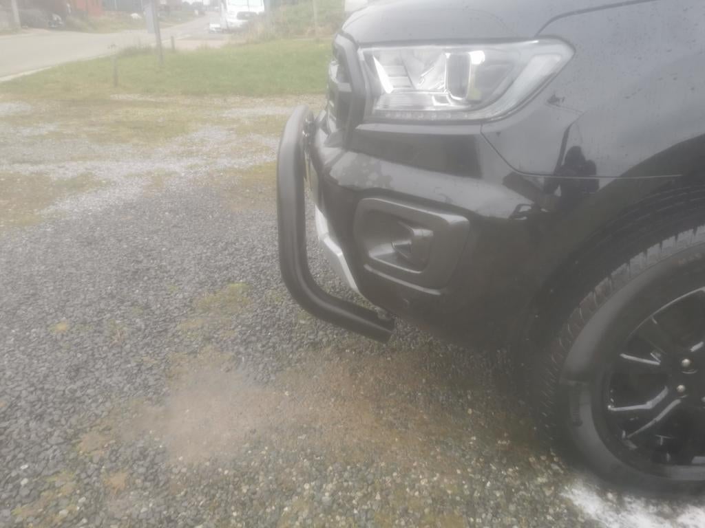 Pare buffle, Enlèvement, Ford