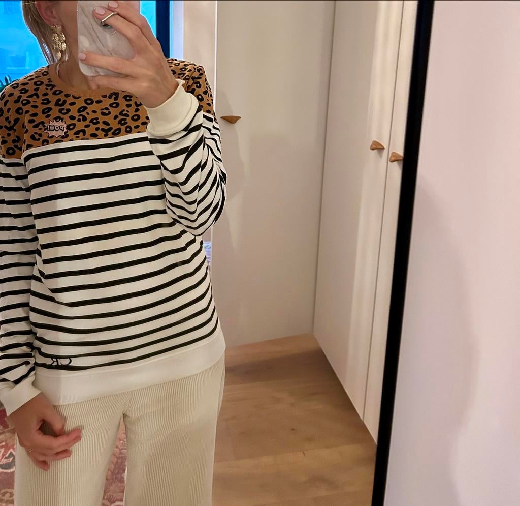 Trui maat S, Kleding | Dames, Wit, Colourful Rebel, Ophalen of Verzenden, Zo goed als nieuw