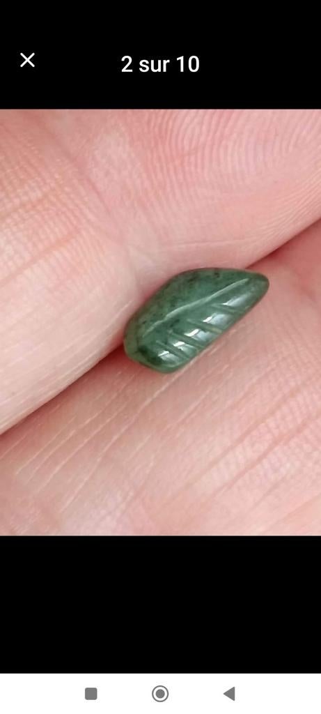 Smaragdgroen gesneden blad, Ophalen, Nieuw