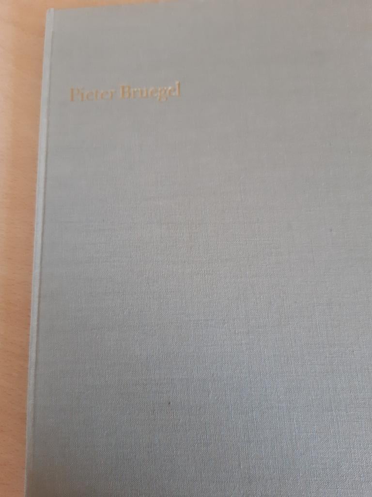 Werken van Bruegel uit Nederlands en Belgisch openbaar bezit, Boeken, Ophalen of Verzenden, Zo goed als nieuw
