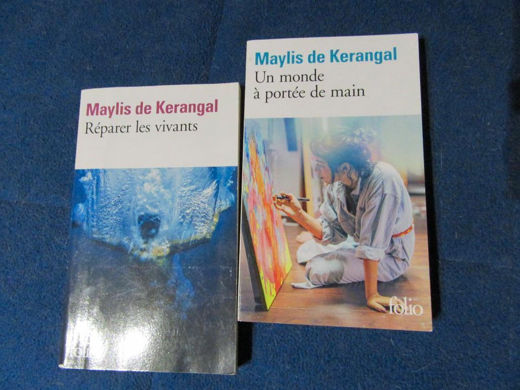 V 2 romans de Maylis de Kerangal éd Folio, Enlèvement, Utilisé