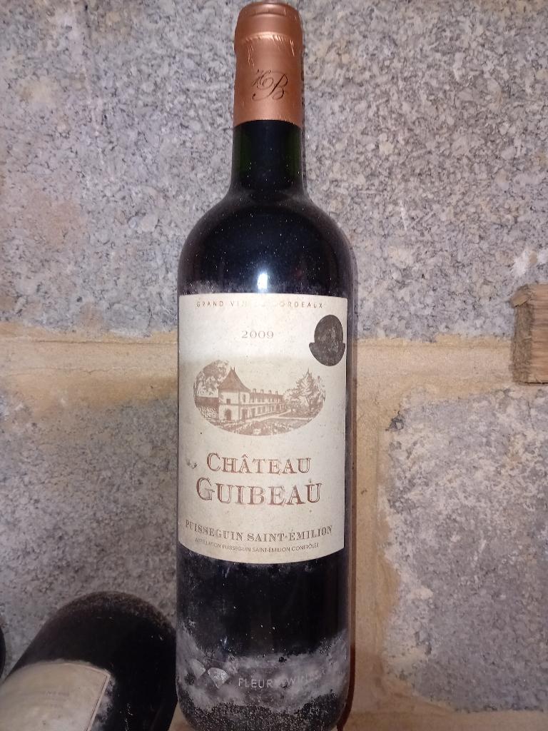 Vin Rouge Château Guibeau Puisseguin Saint-Emilion 2009, Neuf, Pleine, Enlèvement, Vin rouge