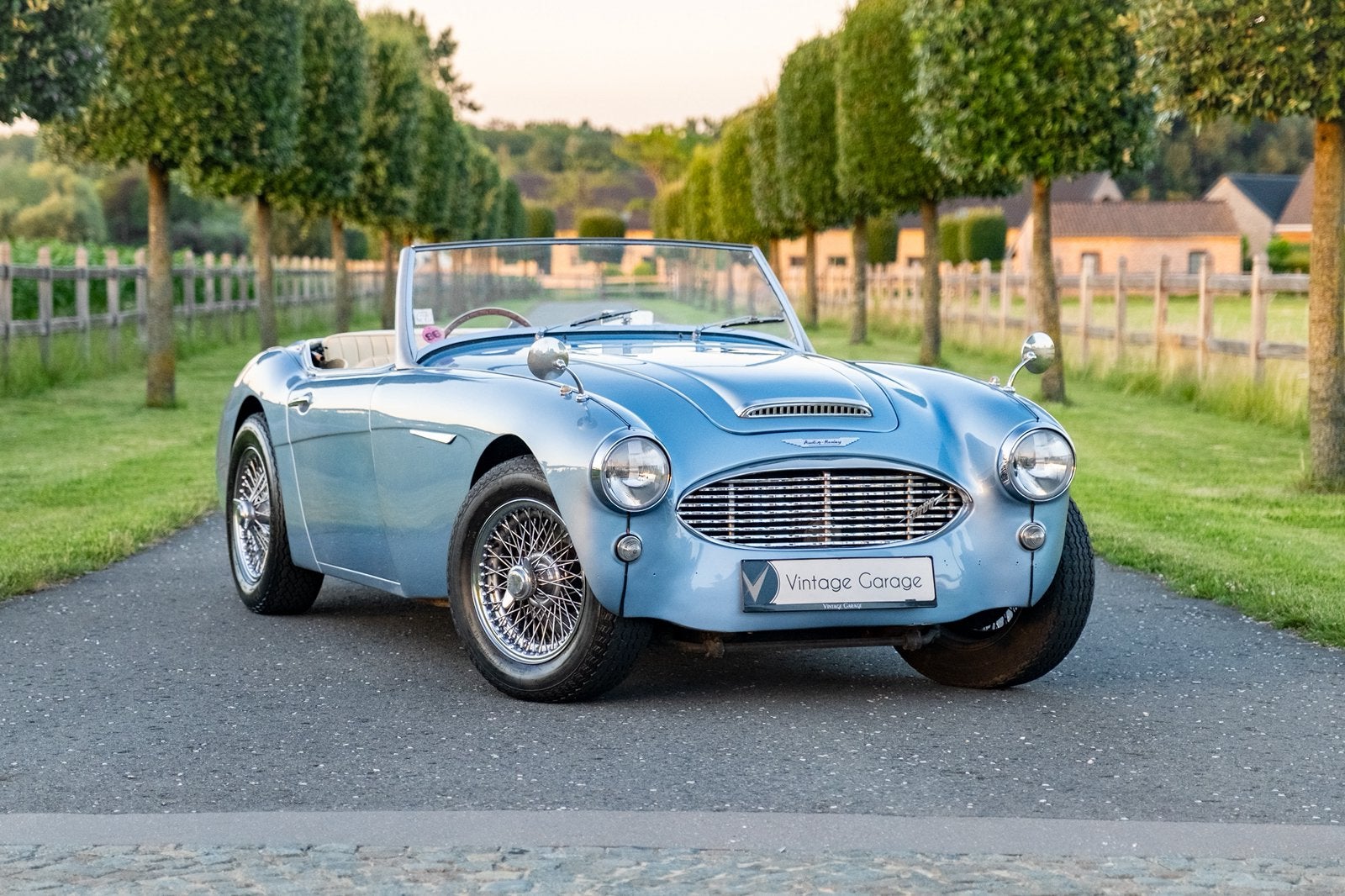 Austin Healey 3000 MK1 - 1961, Cuir, Achat, Beige, Entreprise