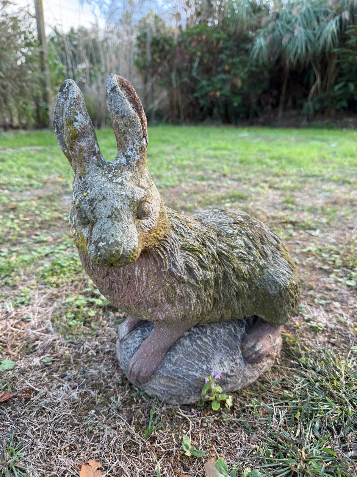 Konijn / haas standbeeld, Ophalen, Zo goed als nieuw, Steen, Dierenbeeld