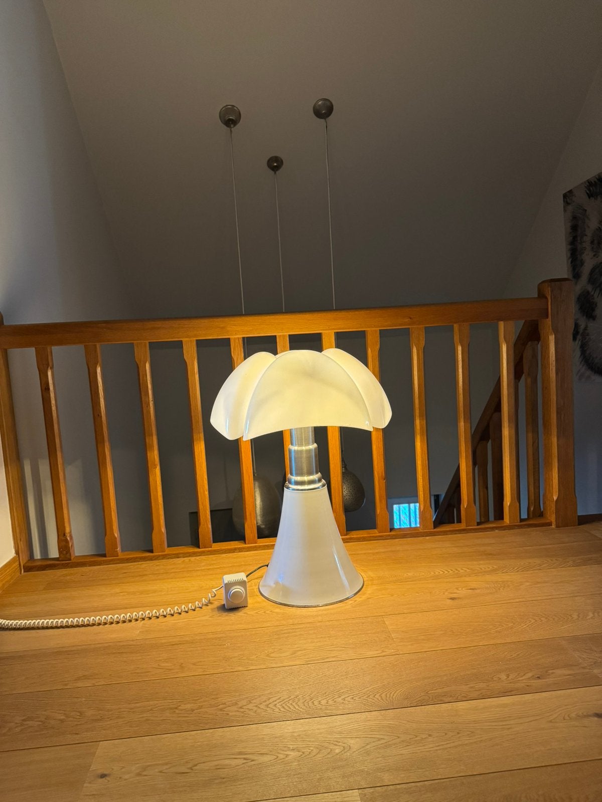 Pipistrelle XXL, Maison & Meubles, Enlèvement, Utilisé