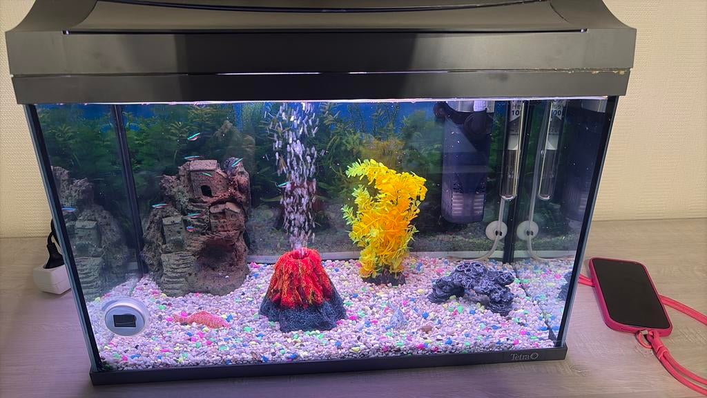 Tetra aqarium, Dieren en Toebehoren, Ophalen, Decoratie, Pomp, Zo goed als nieuw